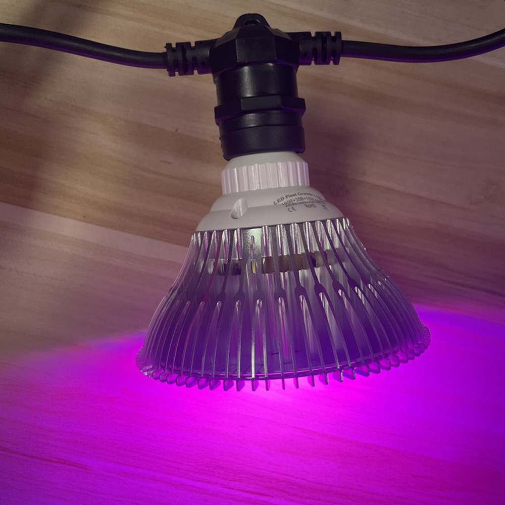 10M Cable LED String Commercia - Outdoor Lighting And Landscape avis et prix