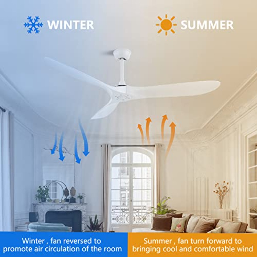52'' Outdoor Ceiling Fan No Li - Outdoor Lighting Remote Control avis et prix