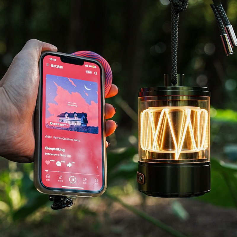 Bluetooth Speaker with Outdoor - Outdoor Lighting Wireless avis et prix